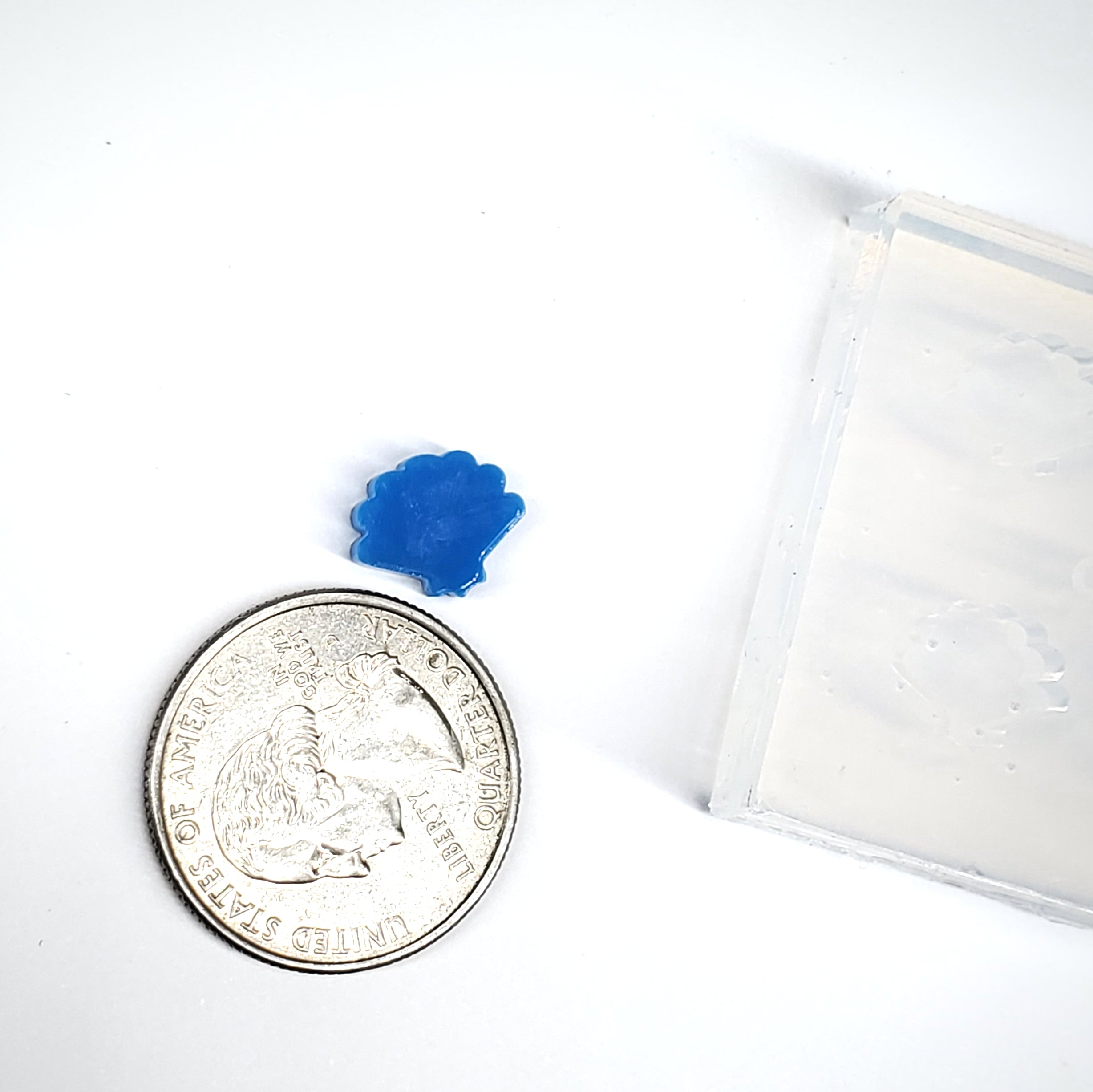 Mini Shell Stud Earring Silicone Mold(A5)