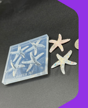 Load image into Gallery viewer, Starfish 2D Silicone Mold, Jewelry Silicone Mold Resin Mold (D15)
