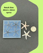 Load image into Gallery viewer, Starfish 2D Silicone Mold, Jewelry Silicone Mold Resin Mold (D15)
