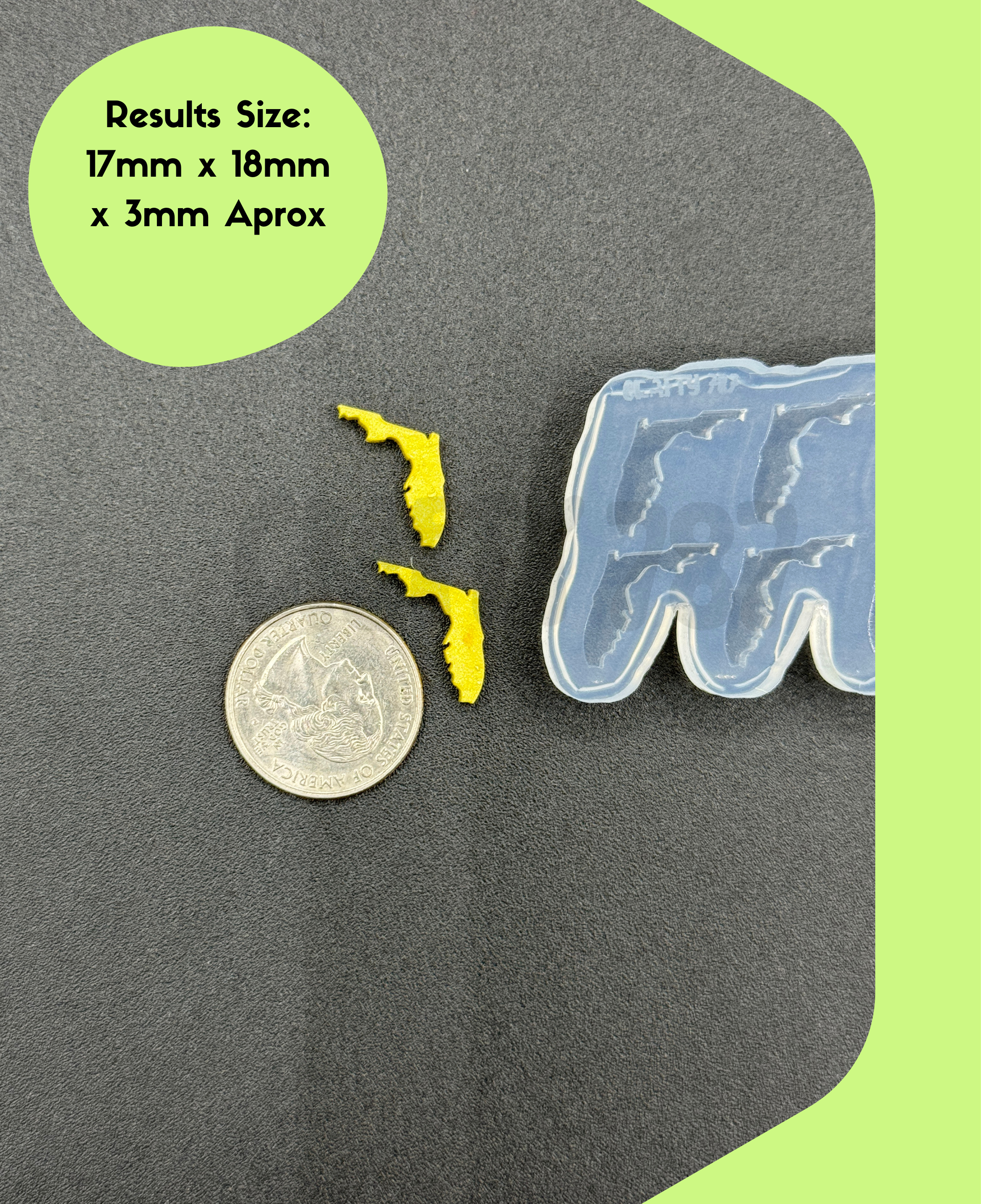Florida Stud Earrings Silicone Mold