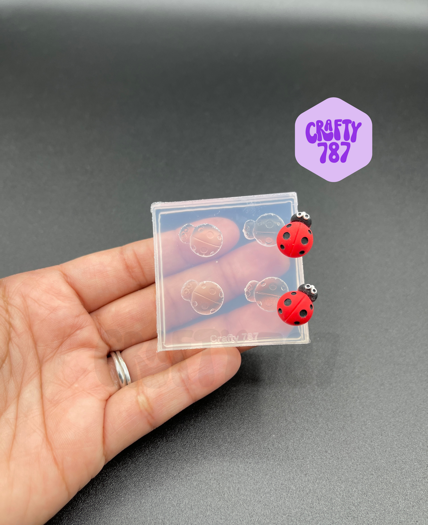 Matte Ladybug Silicone Mold (A14)