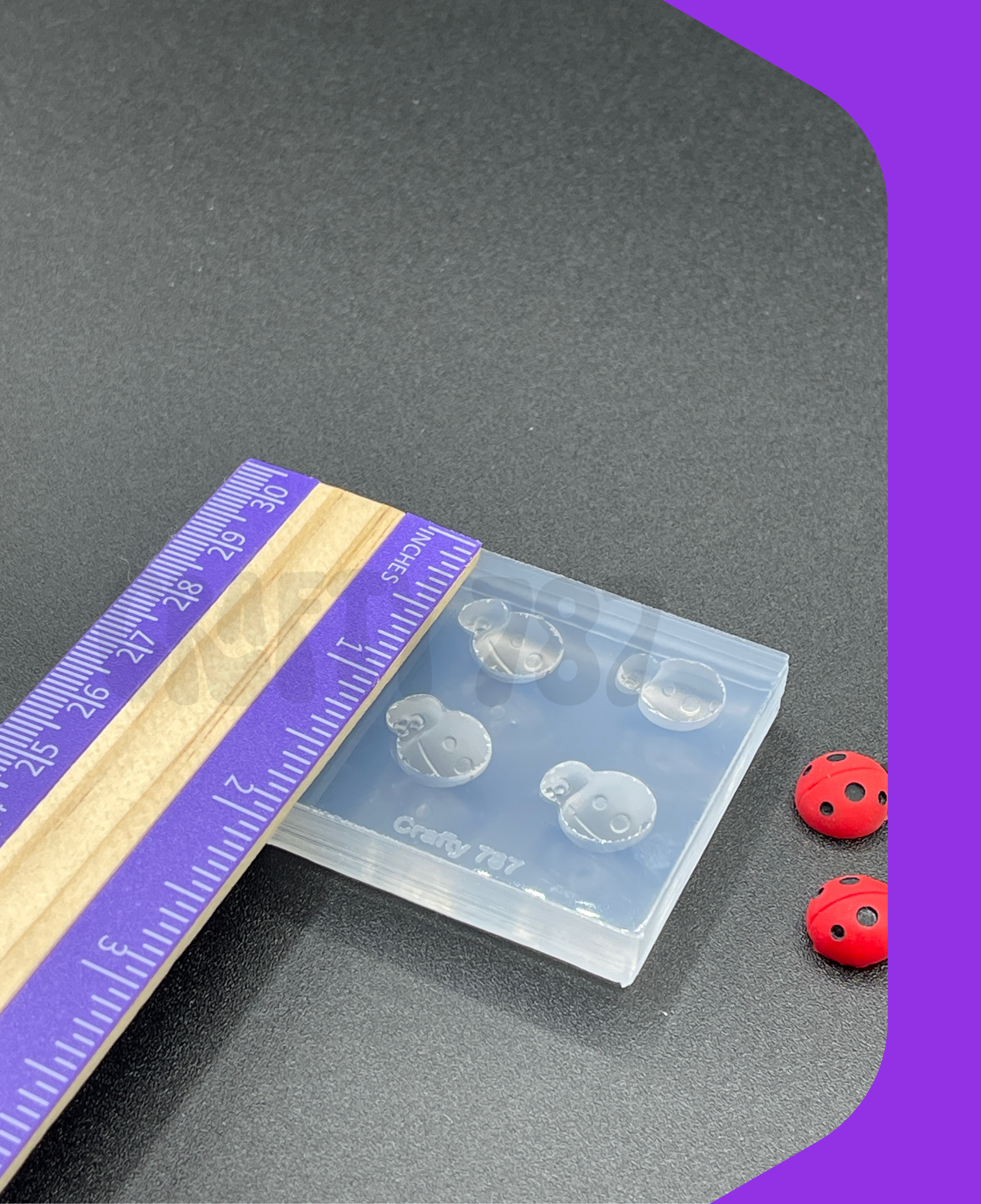 Matte Ladybug Silicone Mold (A14)