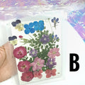 Dry Flowers | Flores Secas Choose your favorites