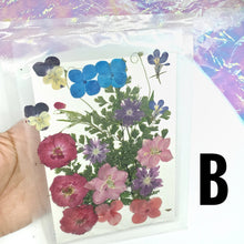 Load image into Gallery viewer, Dry Flowers | Flores Secas Choose your favorites
