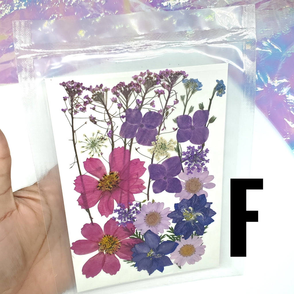 Dry Flowers | Flores Secas Choose your favorites