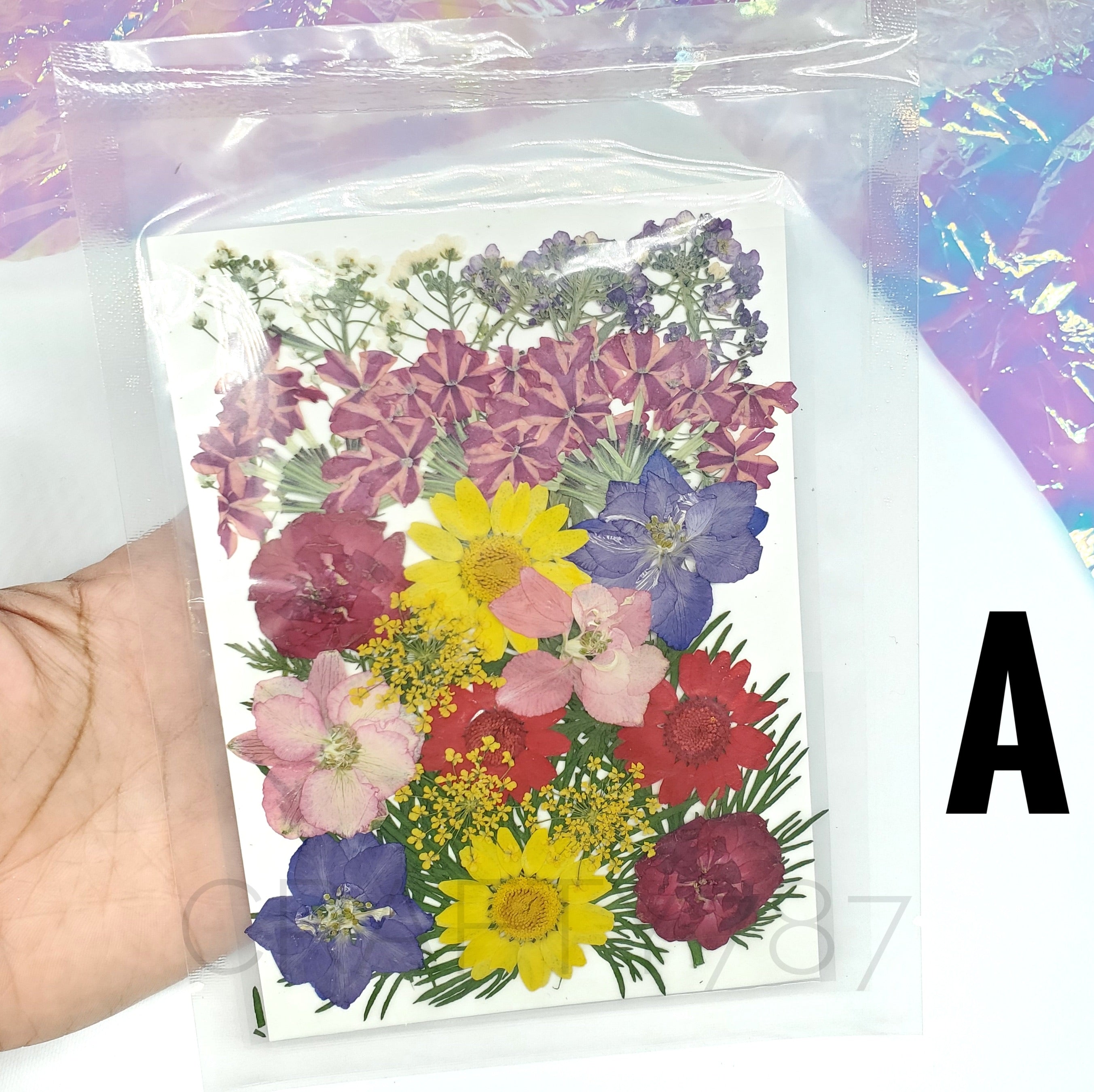 Dry Flowers | Flores Secas Choose your favorites