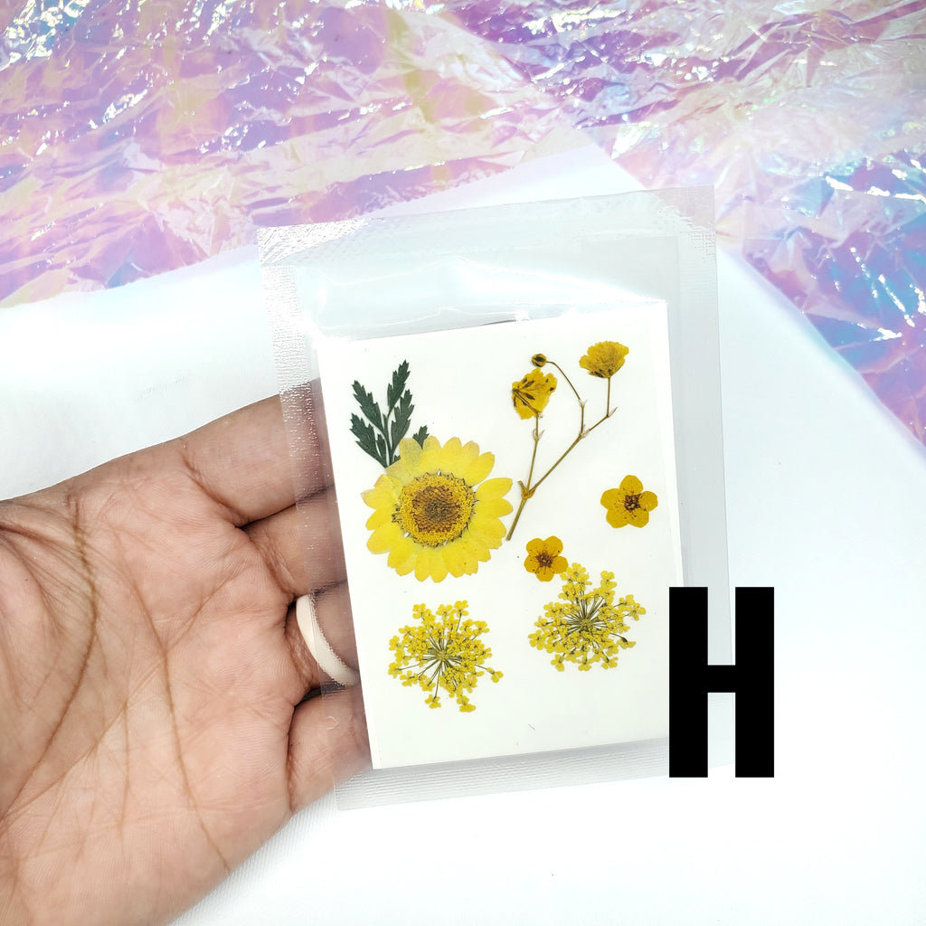 Dry Flowers | Flores Secas Choose your favorites