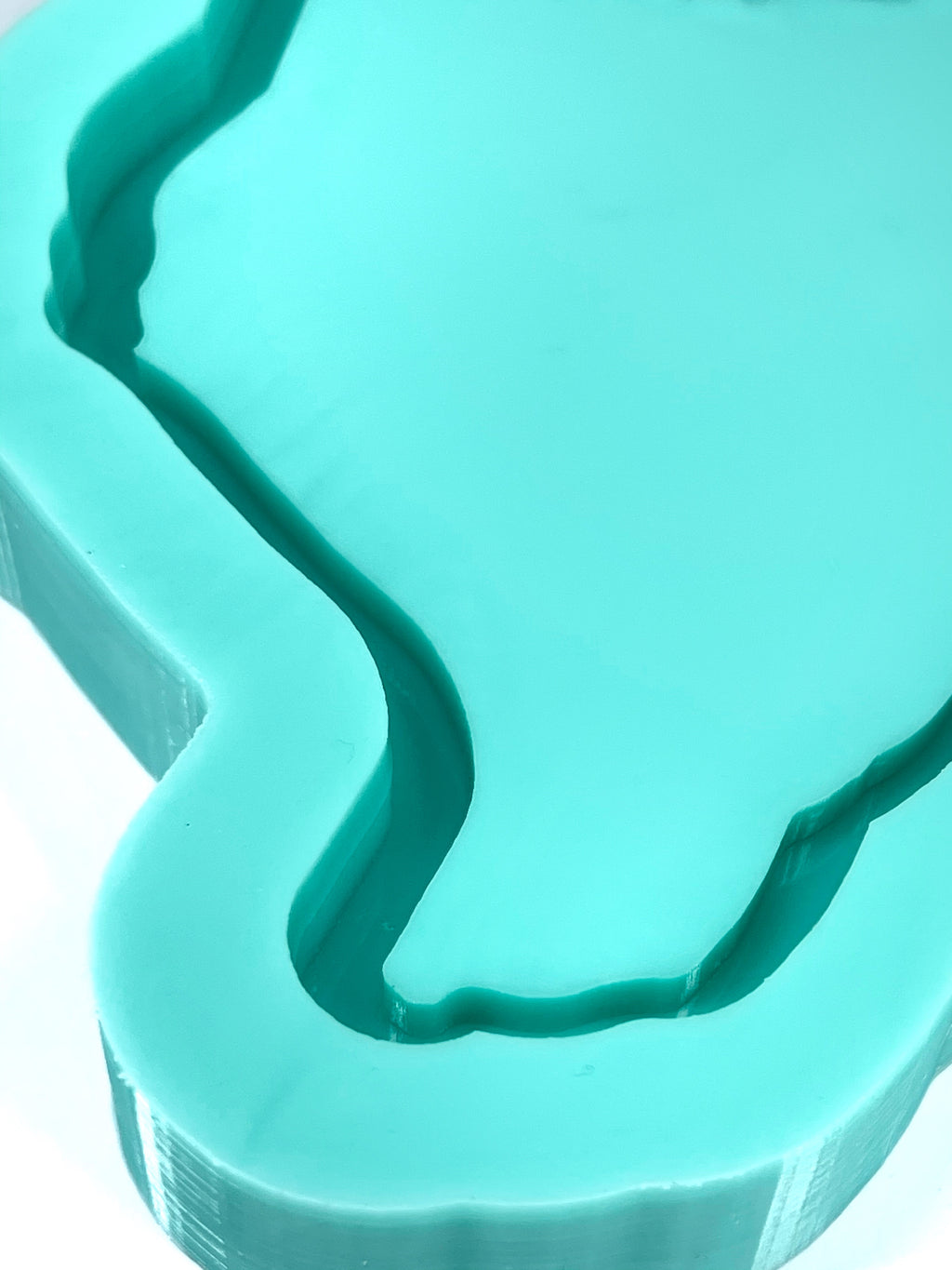 Texas 5.4in Tray (D8)