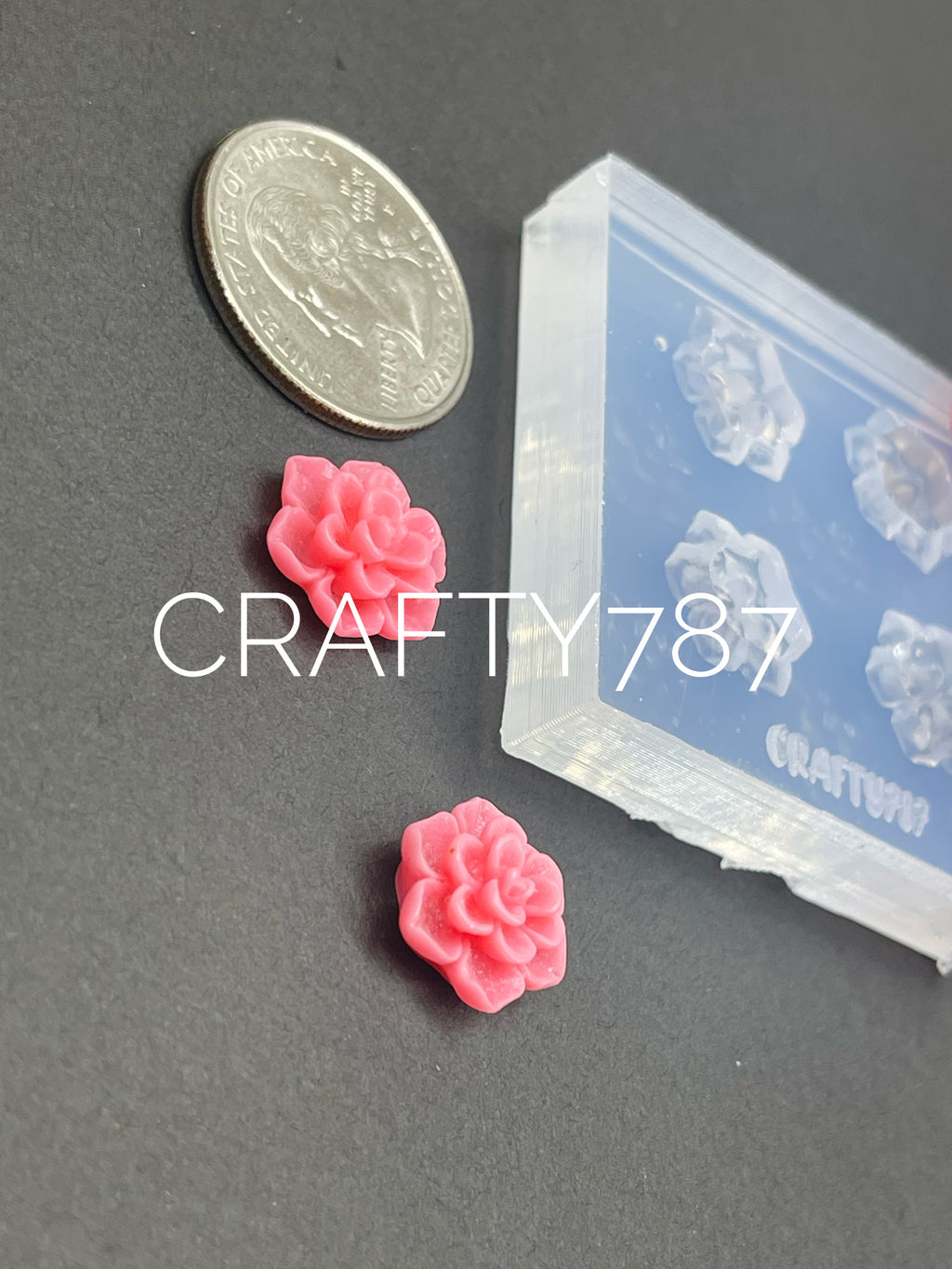 Succulent 2pairs Silicone Mold