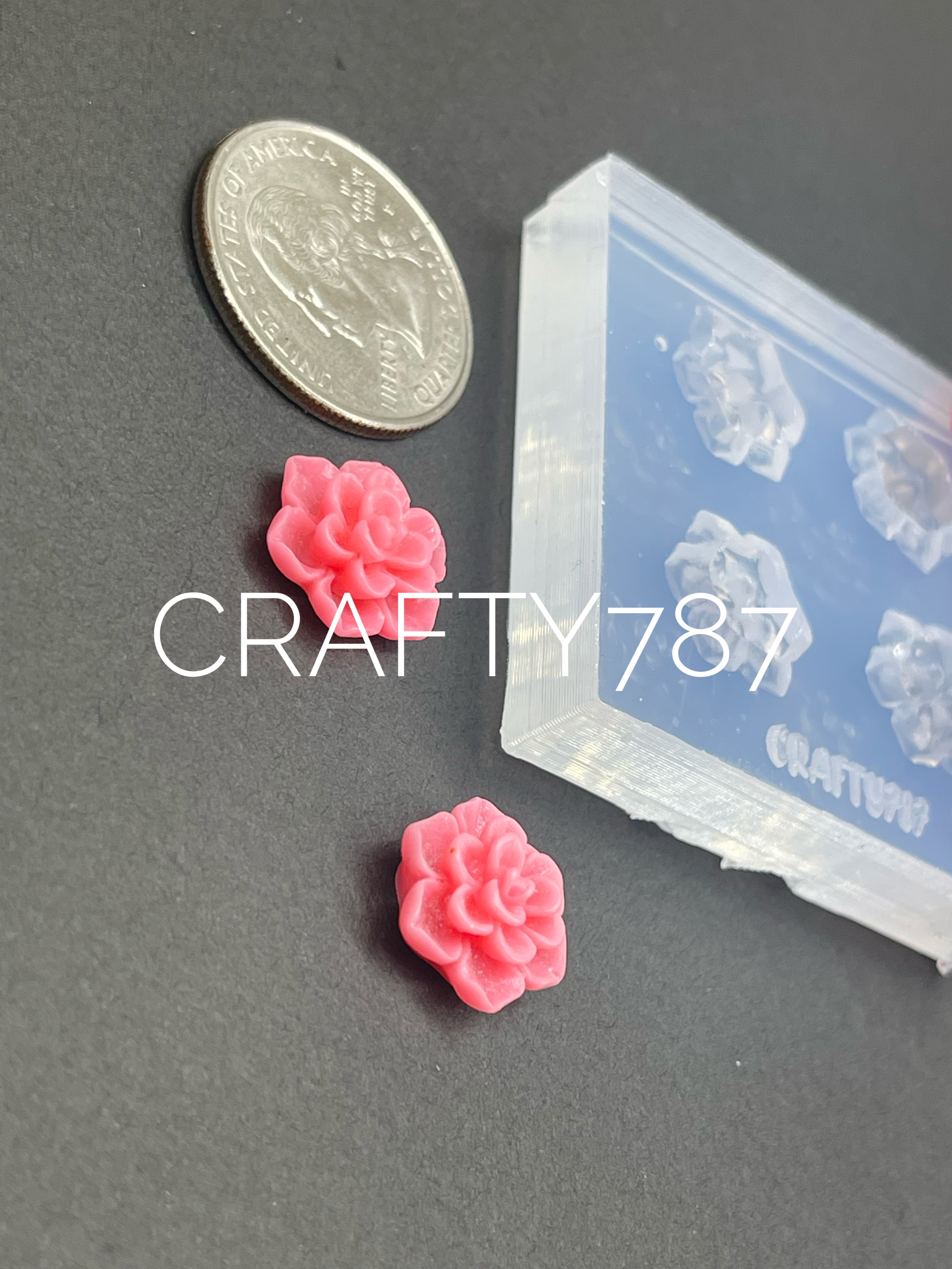 Succulent 2pairs Silicone Mold