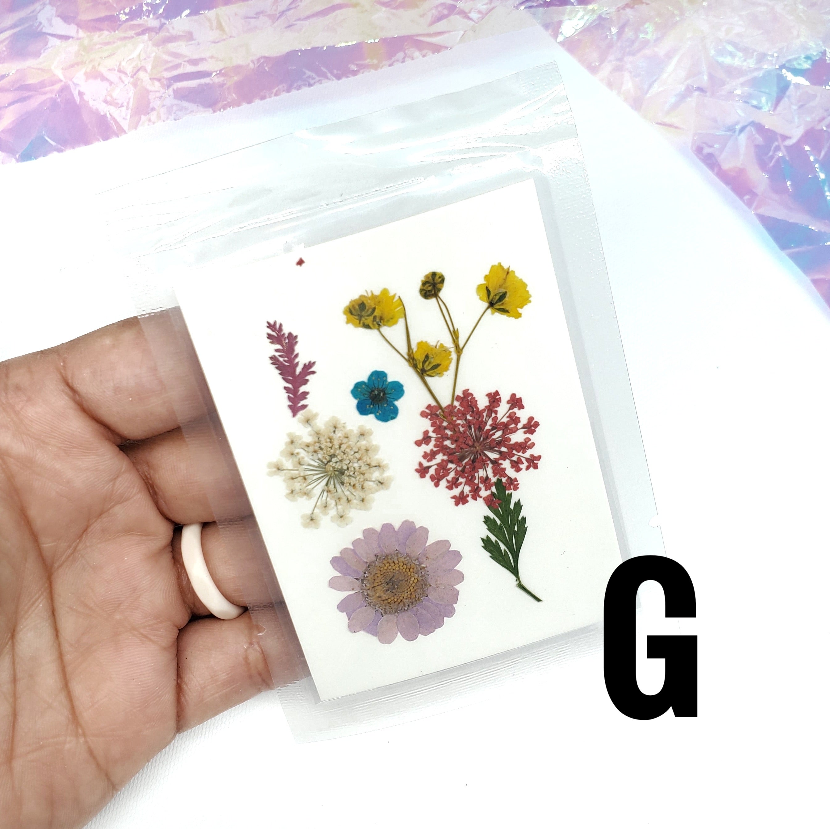 Dry Flowers | Flores Secas Choose your favorites