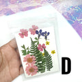 Dry Flowers | Flores Secas Choose your favorites